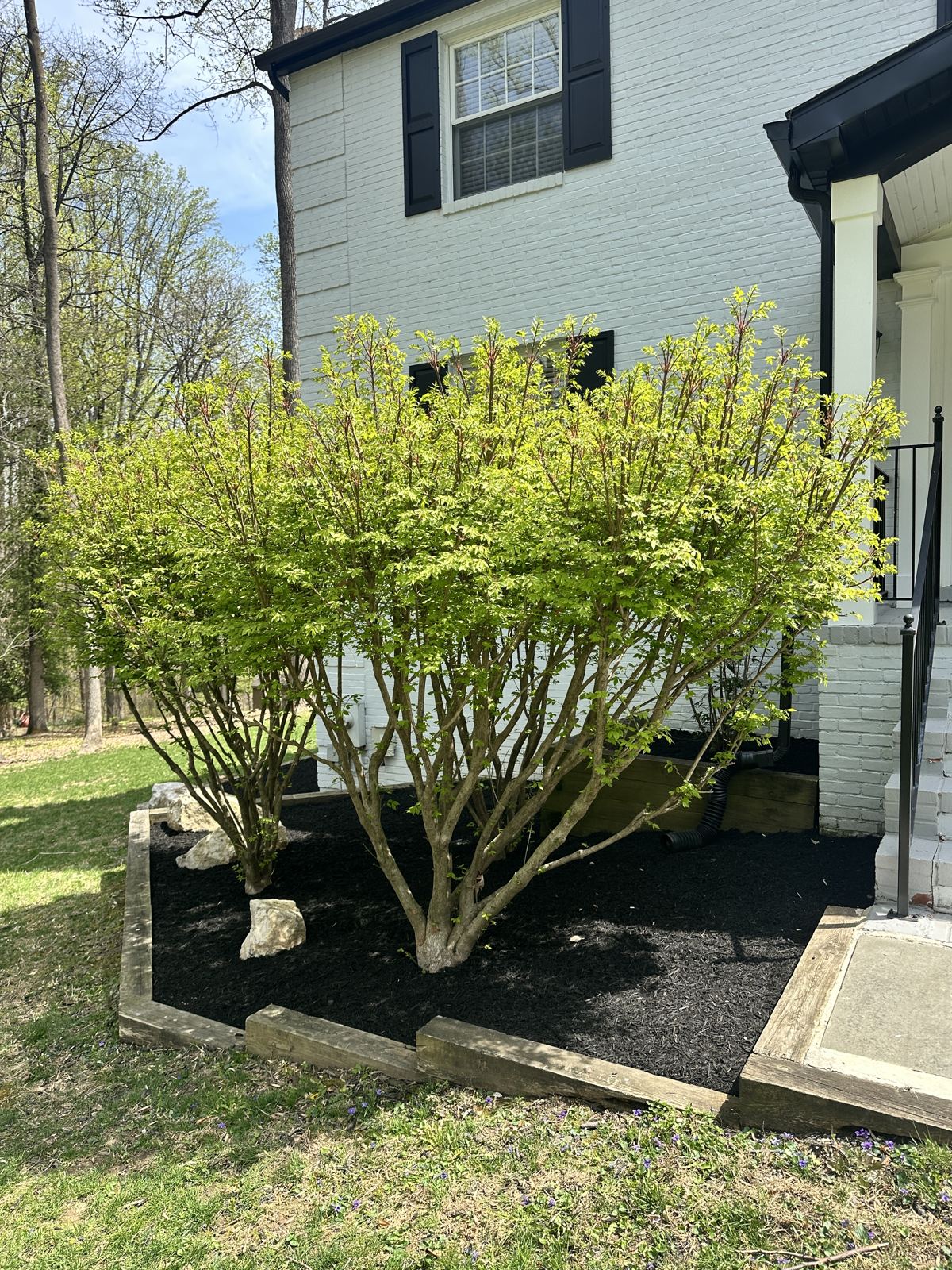 Landscaping project by PTG Landscape in Maryland